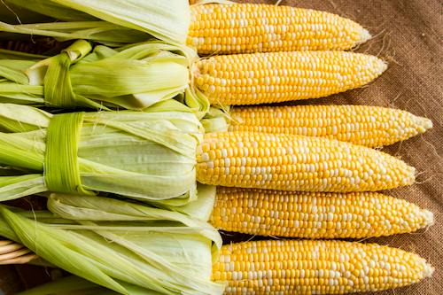 Corn ends Monday with strong appreciation on the Chicago Stock Exchange ...