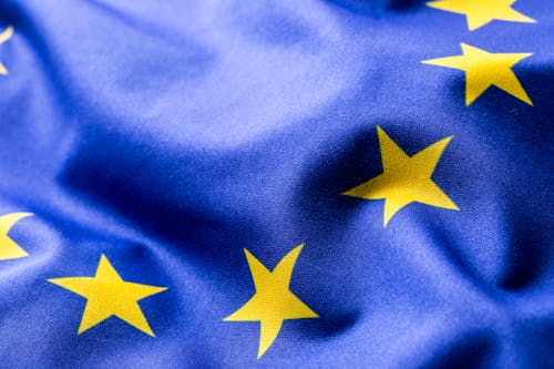 UE deve produzir cerca de 6,4 milhões de toneladas de carne bovina em 2026, aponta USDA