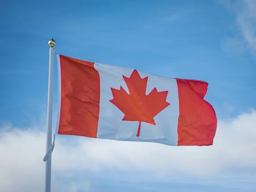 Produção de bovinos no Canadá recua em agosto, aponta DATAGRO Pecuária