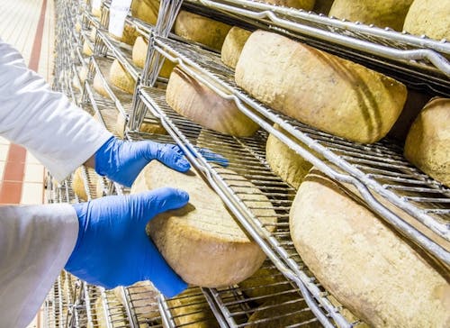 Governo Federal regulamenta processo administrativo de fiscalização agropecuária