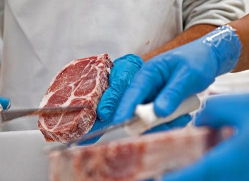 Brasil recebe comitiva do Japão para auditorias sanitárias de carne bovina e suína
