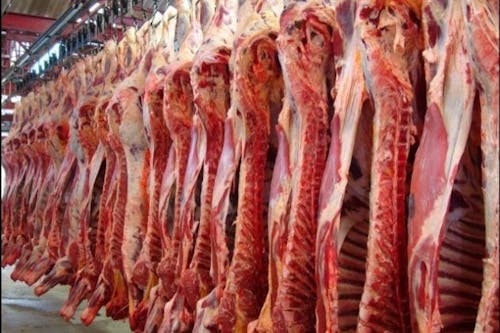 Rentabilidade da carne bovina nos EUA ensaia recuperação em agosto, mas segue pressionada