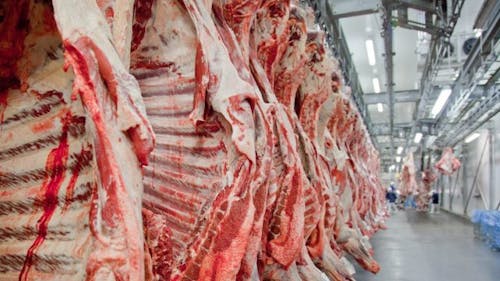 Brasil abre mercado filipino para carne bovina com osso