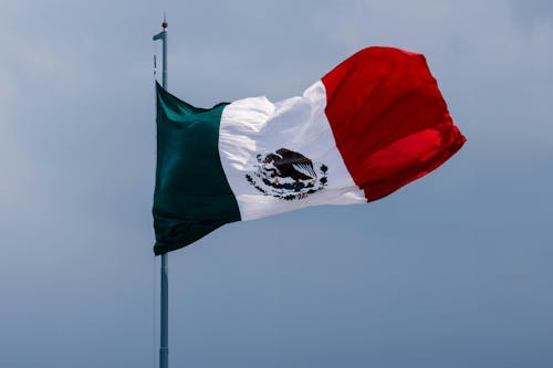 Aumento constante nas exportações indica que México se consolidou como importador líquido de carne bovina