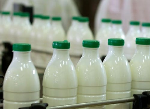 Alta da oferta no campo pressiona cotações do leite
