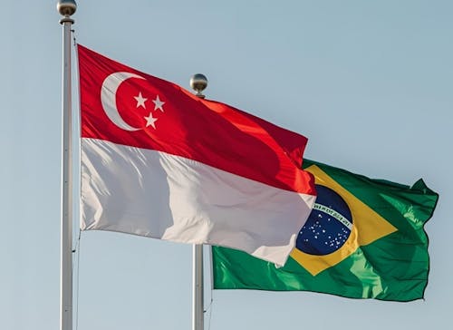 Singapura vai comprar sebo bovino do Brasil para produzir biocombustíveis