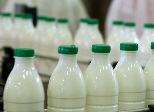 Importações de leite e derivados recuam 12,2% em agosto no comparativo anual
