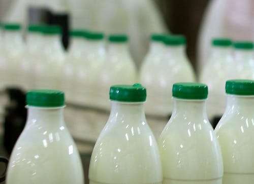 Leite: preço pago ao produtor no RS deve fechar setembro com queda de 2,37%