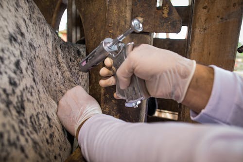 USDA inaugura unidade aérea de dispersão de moscas estéreis no México