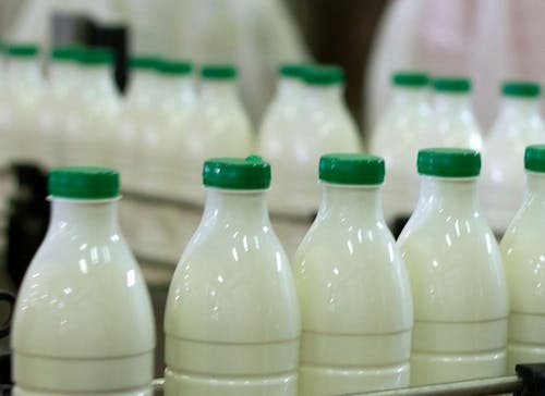 Leite: valor de referência para pagamento ao produtor gaúcho deve encerrar outubro com recuo de 4,26%