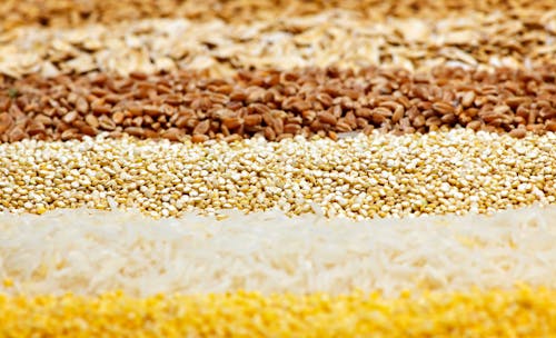 Preços globais de alimentos atingem maior nível desde 2022