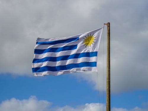 Uruguai registra exportações recordes de lácteos no primeiro semestre de 2026