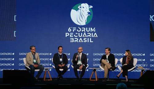 Boi gordo atrai novos investidores e reforça protagonismo do Brasil