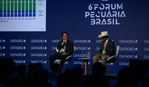 DATAGRO Pecuária projeta queda no abate e no consumo doméstico de carne bovina em 2027
